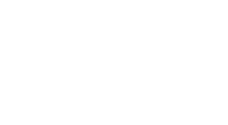EcoFlow