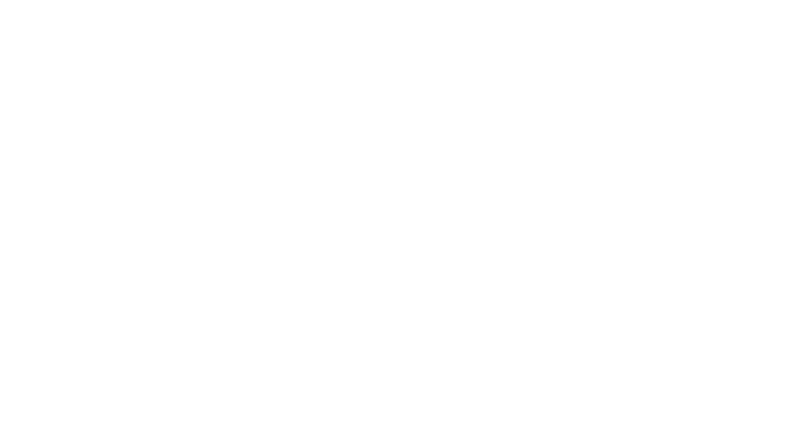 Aputure