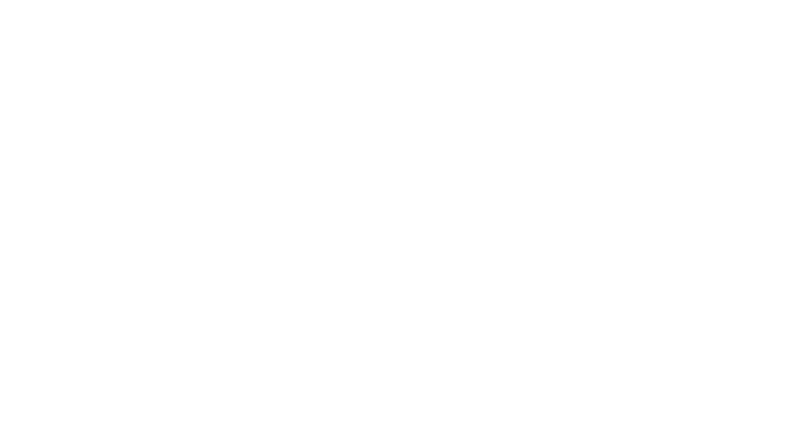 SanDisk Professional