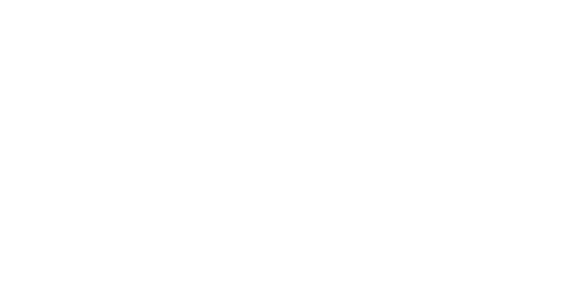 Accsoon
